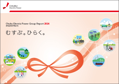 Chubu Electric Power Group Report (Integrated Report)