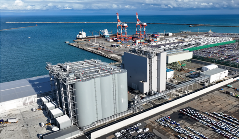 Panoramic view of the Plant